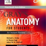Gray's Anatomy for Students (Paperback) An Instant Review