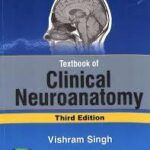 Just Medicine: A Cure for Racial Inequality in American Health Care (Color)