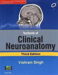 Just Medicine: A Cure for Racial Inequality in American Health Care (Color)